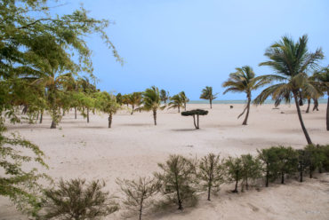 Pointe Sarène, no Senegal | Foto: Reprodução