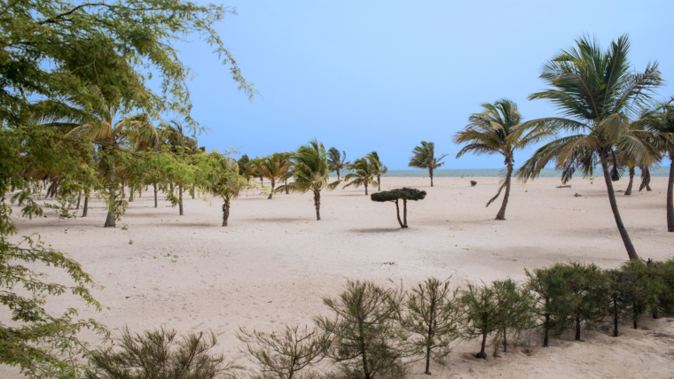 Pointe Sarène, no Senegal | Foto: Reprodução