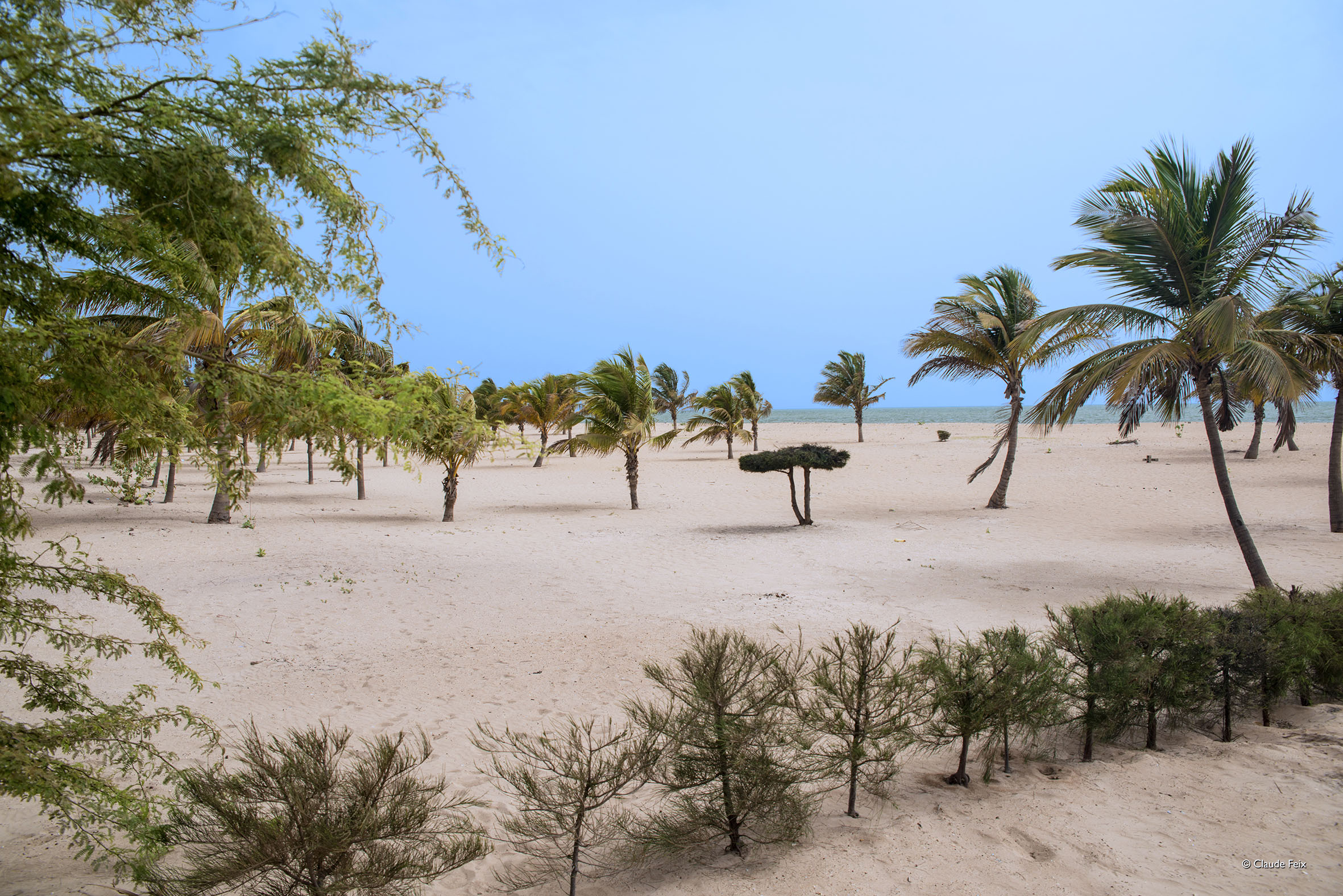 Pointe Sarène, no Senegal | Foto: Reprodução