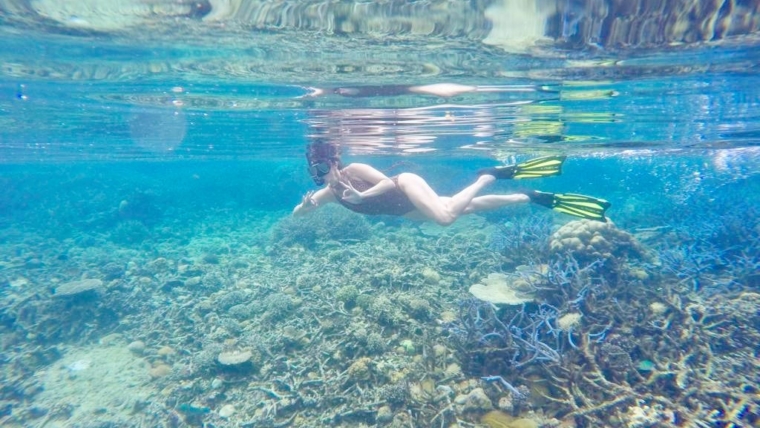 Snorkling na Shimizu Island | Foto: @natripdaju