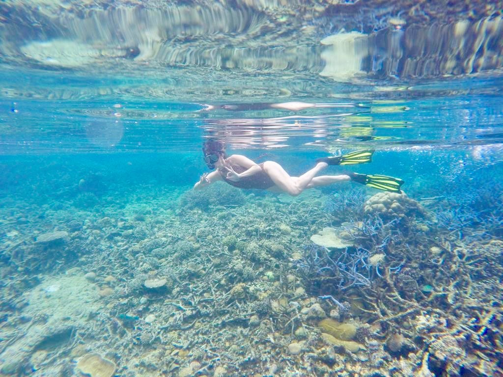 Snorkling na Shimizu Island | Foto: @natripdaju