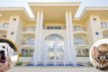 Doral Guarujá Pet Friendly