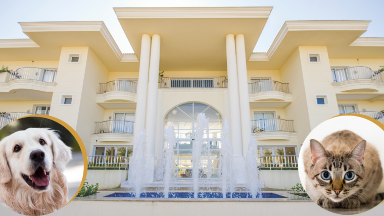 Doral Guarujá Pet Friendly