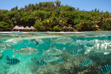 Praia do Turtle Island Resort