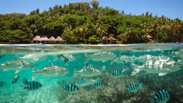 Praia do Turtle Island Resort