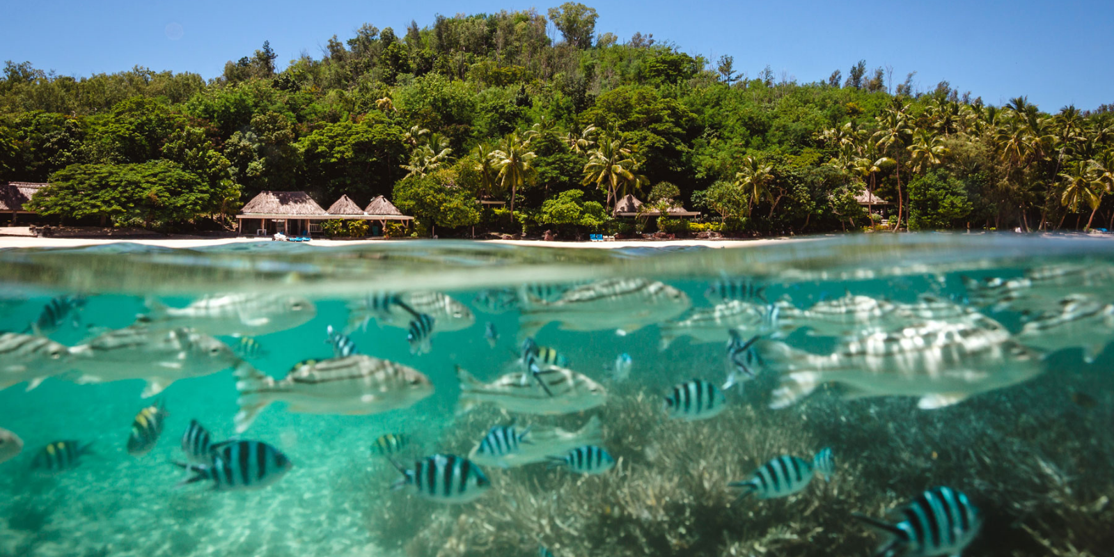 Praia do Turtle Island Resort