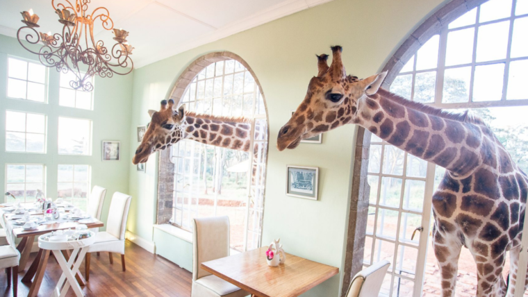 Giraffe Manor na Quênia