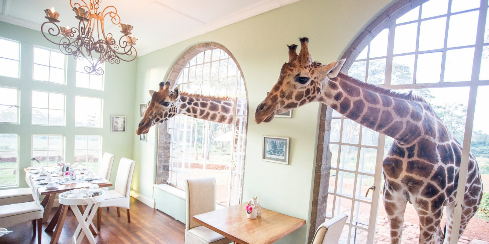 Giraffe Manor na Quênia