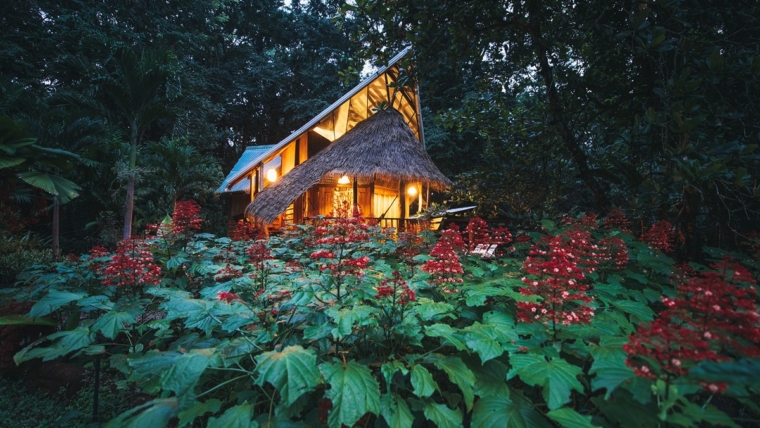 Tree House Hotel na Costa Rica